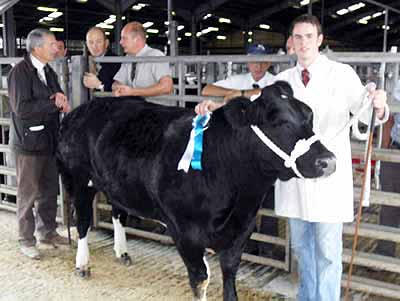 Crossbred Reserve Champion from M Morris